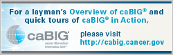 caBIG Public Website
