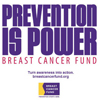 The Breast Cancer Fund (BCF) logo