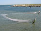 Photo of Lyndie Hice and Glenn Wagner seining for Atlantic silversides near Cape Hatteras.