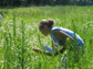 Photo of a student observing patterns of flowering and pollinators.