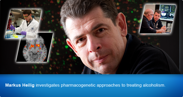 Marcus Heilig investigates pharmacogenetic approaches to treating alcoholism.