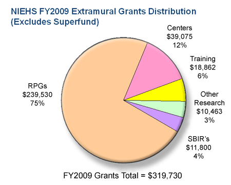 FY2009 Extramural Grants Distribution. Centers $39,075 (12%), Training $18,862 (6%), RPGs $239,530 (75%), SBIRs $11,800 (4%), Other Research $10,463 (3%).