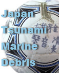 Japan Tsunami Marine Debris icon