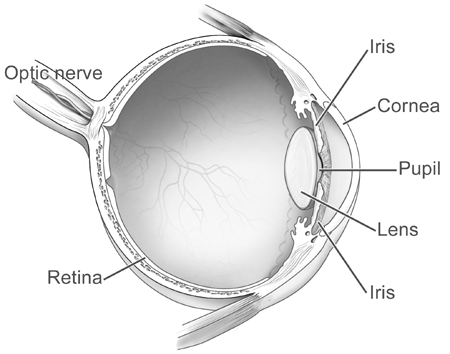 Eye diagram (black and white) width=