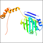 Structure of stress-specific protein. Credit: Ursula Jakob.