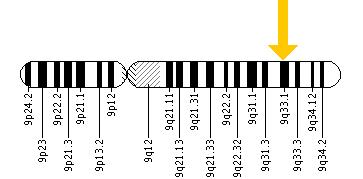 The GSN gene is located on the long (q) arm of chromosome 9 at position 33.