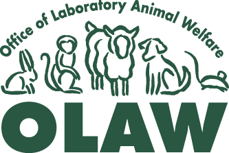 OLAW Logo