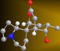 A 3-D model of the alkaloid serratezomine A. Credit: Johnston Group.