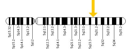 The TGFBI gene is located on the long (q) arm of chromosome 5 at position 31.