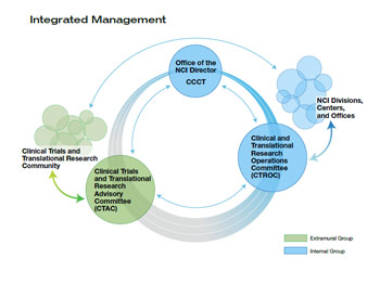 Graphic showing the structure of NCI's clinical trials program