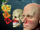 Image showing facial reconstruction through the use of topological optimization.