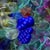 Inhibitor that binds to key sites (dark blue) on the human multidrug resistance protein. Credit: John Wise, Southern Methodist University.