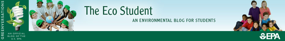 The Eco Student