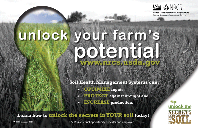 Unlock the Secrets of the Soil