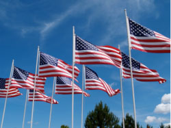 American flags