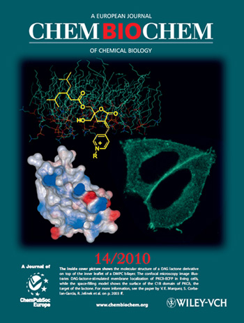 2010 ChemBioChem