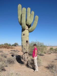 Pregnant woman standing by a cactus
