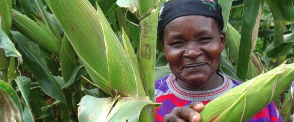 USAID helps smallholder farmers like this one, who grows corn