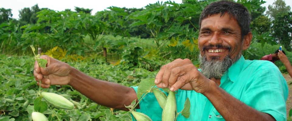 USAID helps smallholder farmers like this one 