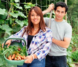 Man and woman in garden with veggie basket