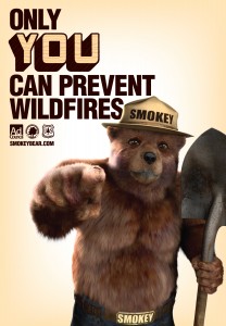 Smokey the bear holding shovel