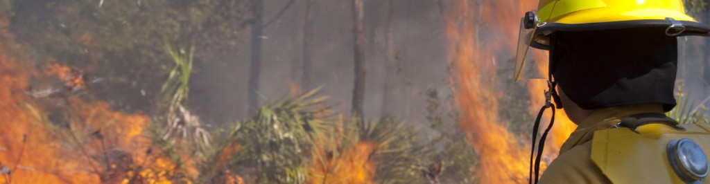 Firefighter looking at a wildfire