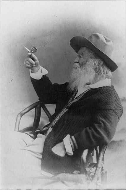 [Walt Whitman, half-length portrait, seated, facing left, wearing hat and sweater, holding butterfly]