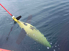 New Seaglider Collects Data along Gulf Coast