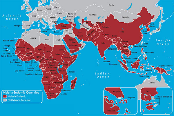 Map 3-10 Malaria-endemic countries in the Eastern Hemisphere