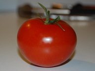 tomato