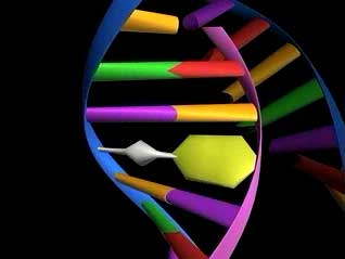 Free Radical Mutation