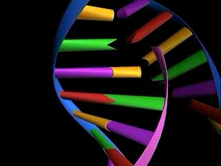 DNA Duplication