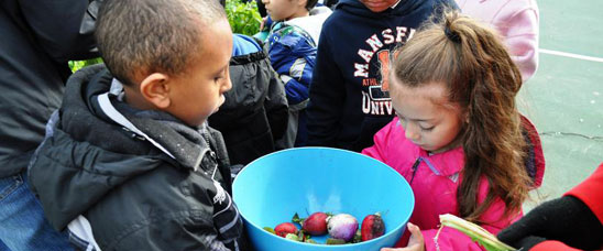 Children, who perhaps at home wouldn't touch anything categorized as a 'vegetable,' enthusiastically dug into their salad bowls with excitement stemming from the new tastes, textures, and colors.