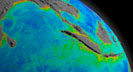 Carbon forms living organisms, dissolves in the ocean, mixes in the atmosphere, and is stored in the crust of the planet. The ocean plays a critical role in the carbon cycle is key to understanding Earth's changing climate.