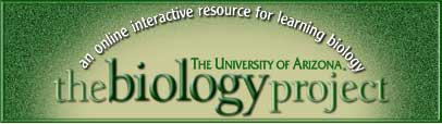 The Biology Project at The University of Arizona