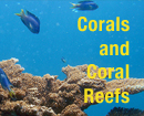 Corals and Coral Reefs