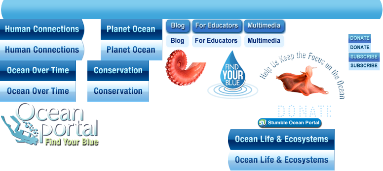 Learn more about Ocean Life and Ecosystems