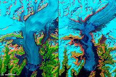 This image shows the Columbia Glacier in Alaska one of many vanishing around the world.