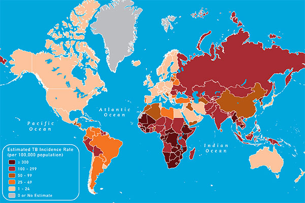 Map 3-15 Estimated TB incidence rates, 2009