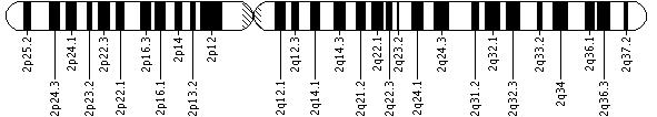 Ideogram of chromosome 2