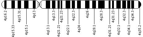 Ideogram of chromosome 4