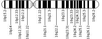 Ideogram of chromosome 10
