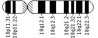 Ideogram of chromosome 18