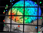 A visualization of the human brain using VisTrails. Credit: Juliana Freire, University of Utah