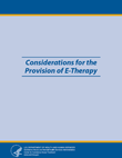 Considerations for the Provision of E-Therapy