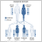 autosomal dominant inheritance pattern