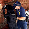 U.S. Customs Canine team makes a positive hit for cocaine on the rear of the vessel Anita while dry docked at the Miami river. 