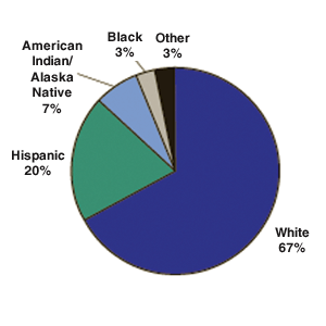 Figure 2.  Adolescent Inhalant Admissions, by Race/Ethnicity: 1999