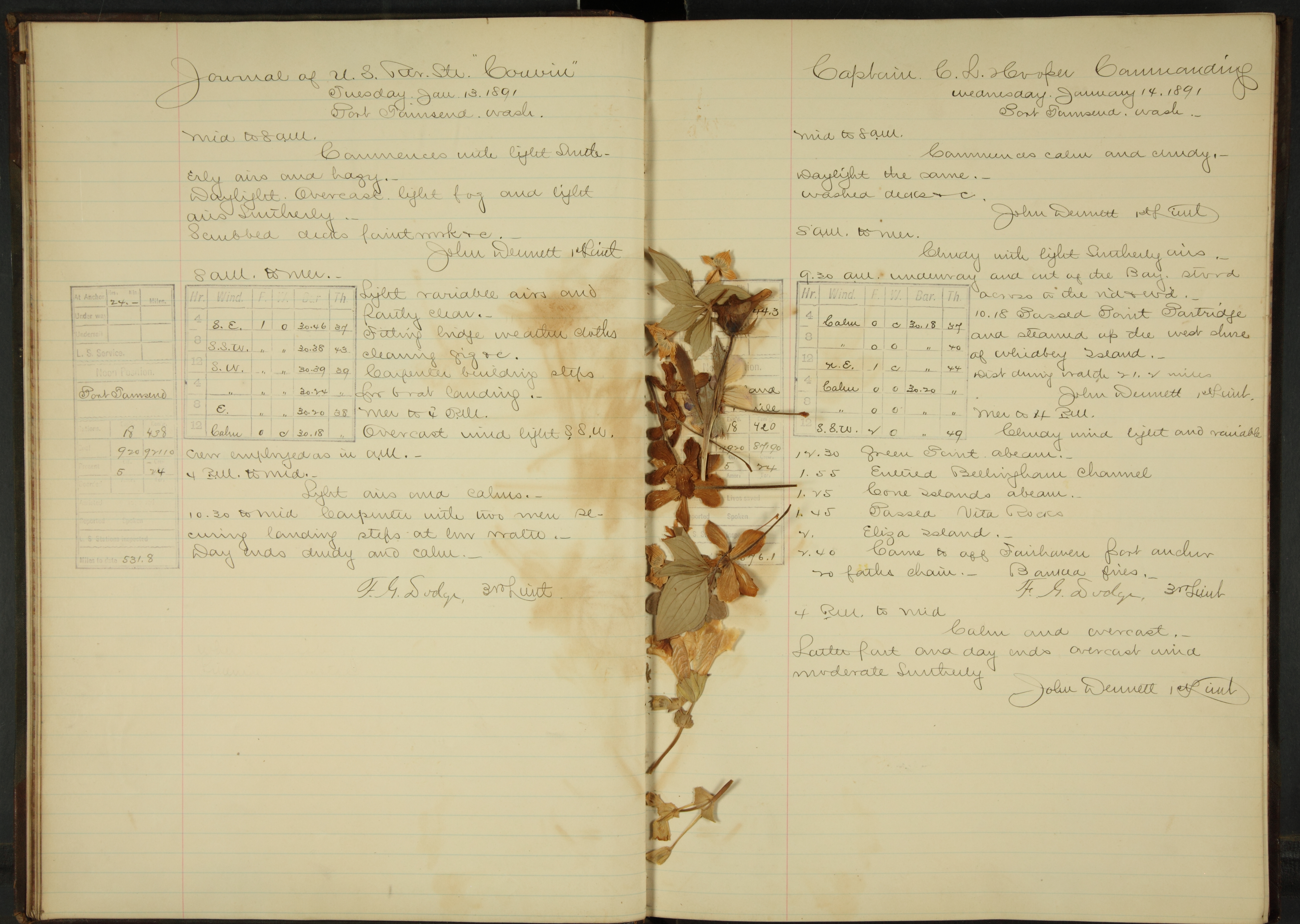 USRC Corwin log entry with pressed flowers