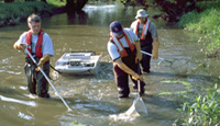Hydrologists using an electrical shocker to collect biological samples. 